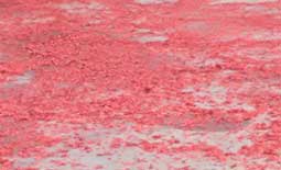 惠州鑫遠(yuǎn)程自動(dòng)化【前處理包銅箔脫鋁箔一體機(jī)】初八開工啦！！